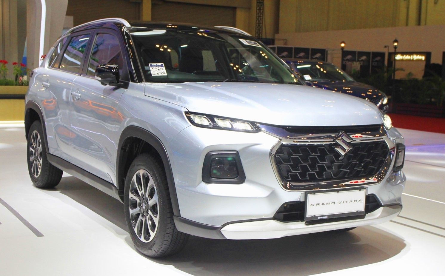 Suzuki Grand Vitara - dok SIS