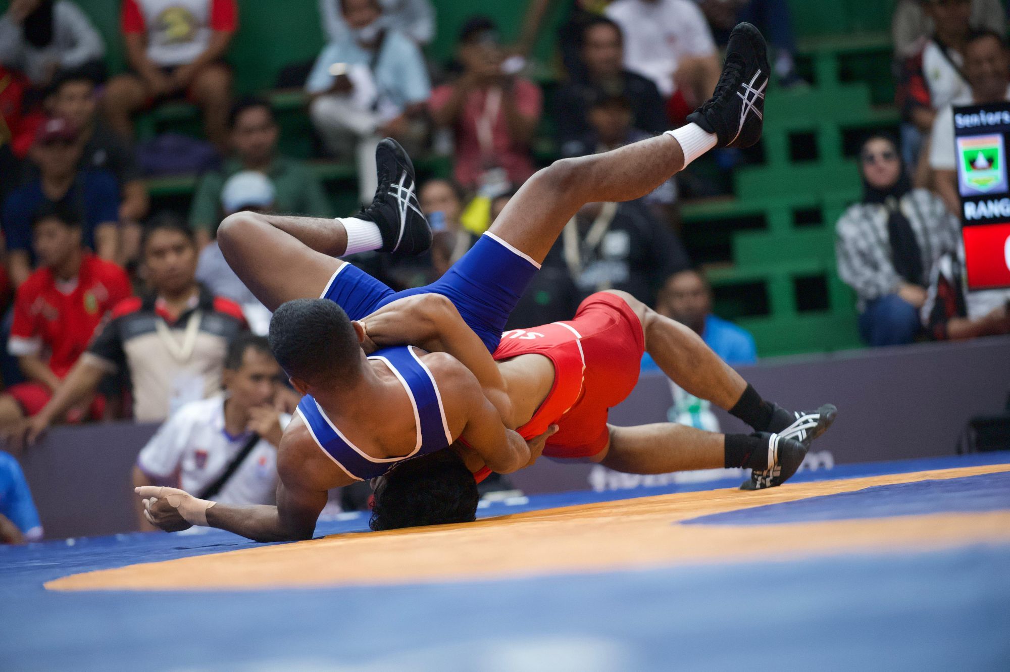 WhatsApp Image 2025-10-15 at 10.17.29.jpg